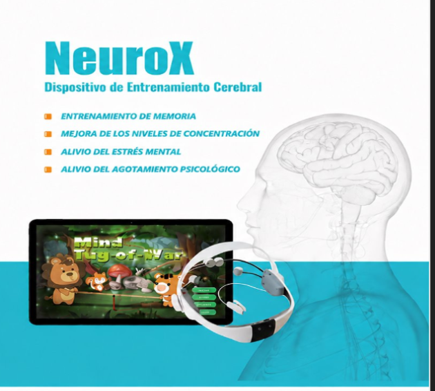 NeuroX